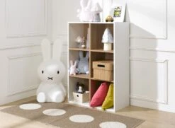 Bibliothèque 6 Cases ANGEL