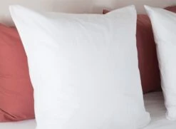 Oreiller Confort 60x60cm ANDY Coton Bio