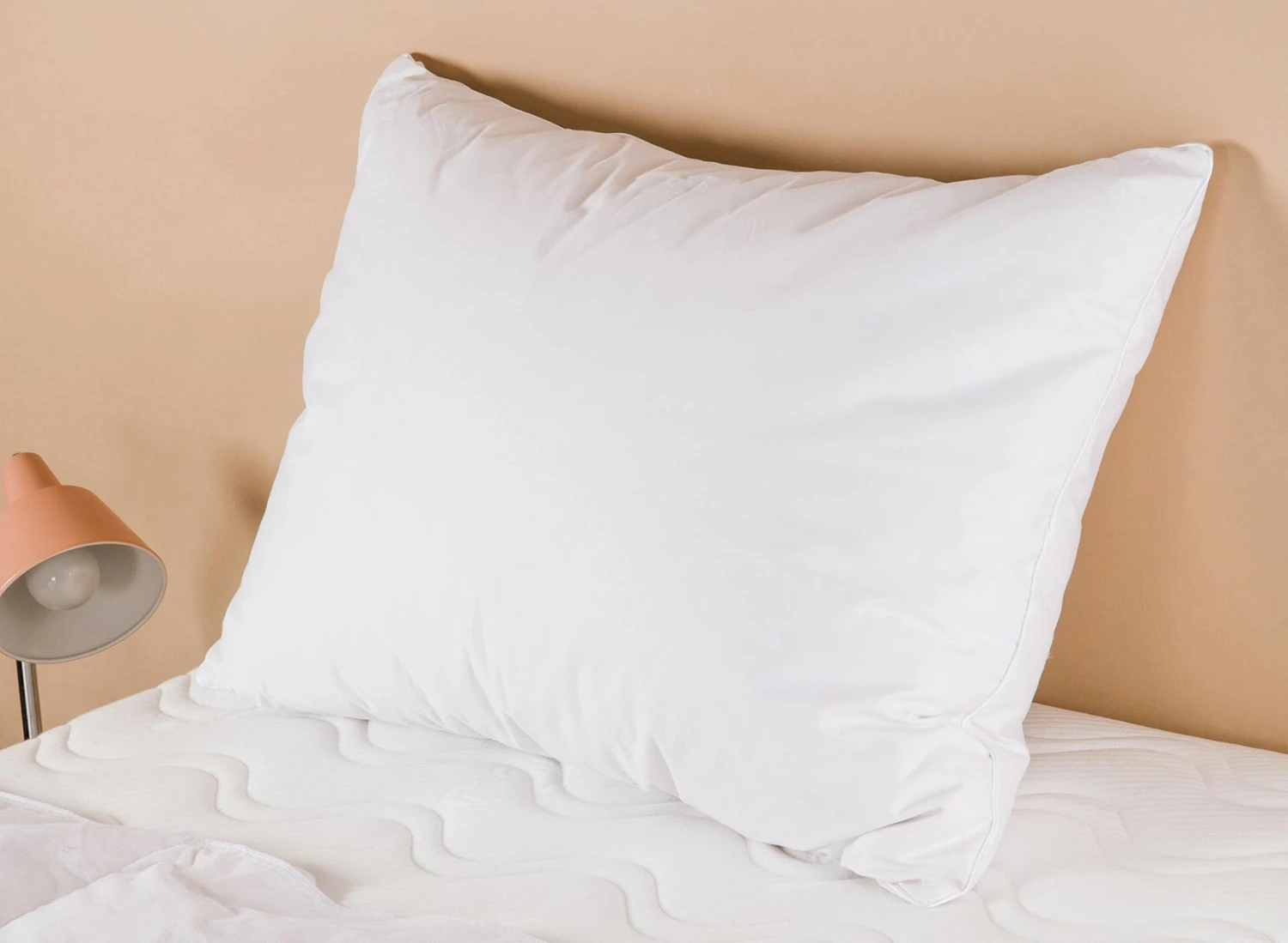 Oreiller Premium 50x70cm UGO Duvet Et Plume